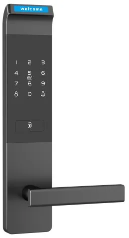 2056 Password TTLock Keypad Voice Hotel Keypad Lock