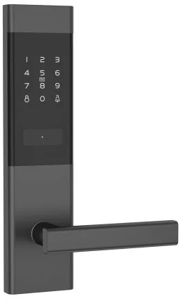 2062 TTLock Voice Hotel Keypad Lock