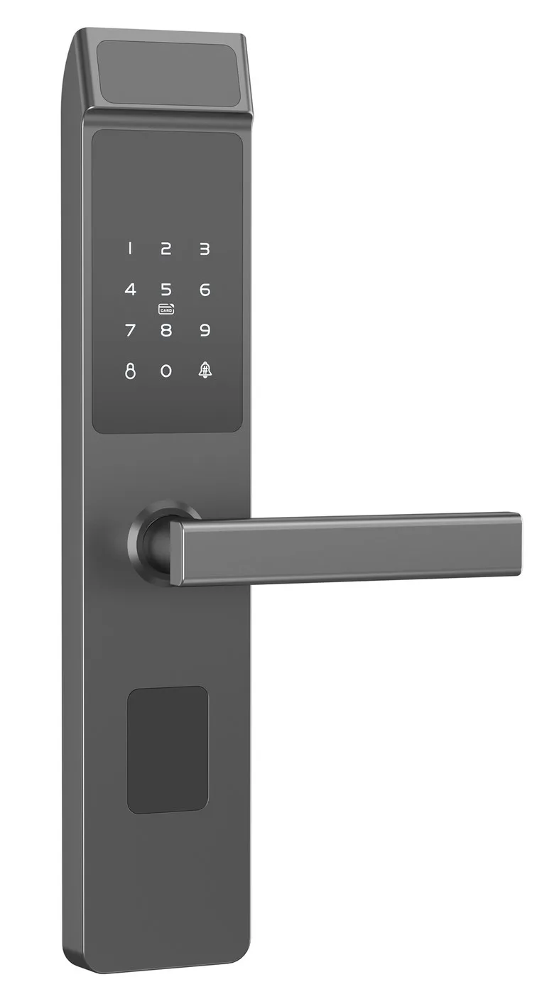 2067 L Password TTLock Keypad Voice Security Door Keypad Lock