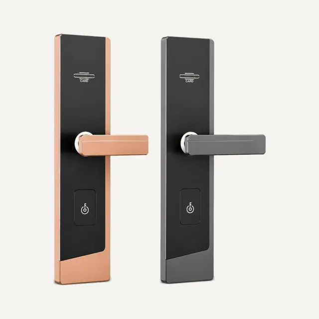 Security Door Smart Locks