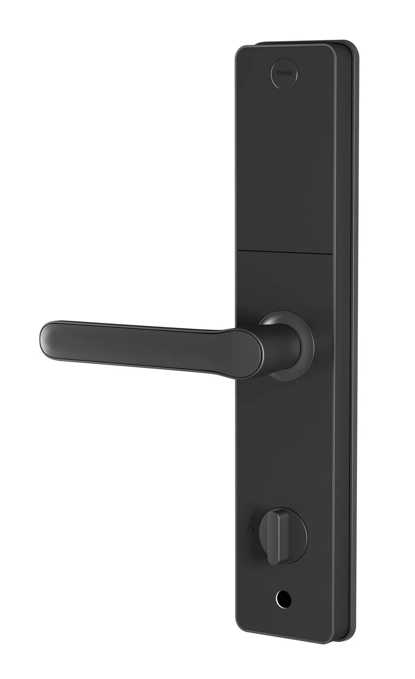 RX-Fingerprint A8 Standalone Fingerprint Lock with Lock Body