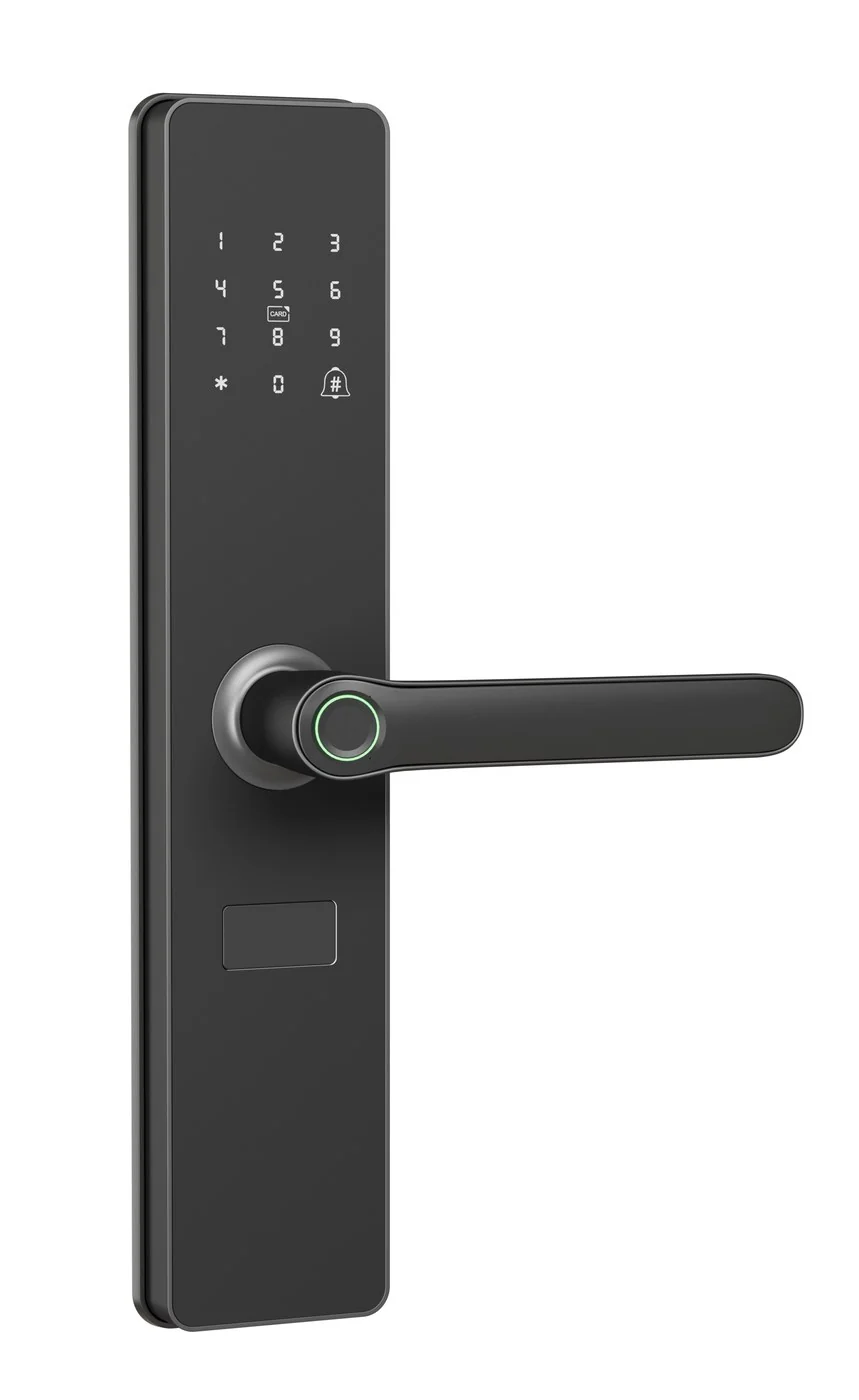 RX Fingerprint A8 Standalone Fingerprint Lock Product